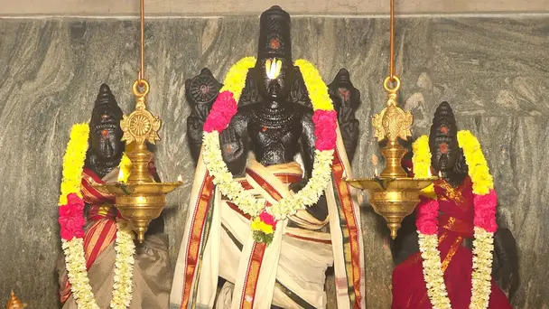 Paruthiyur Varadharajar Perumal temple!