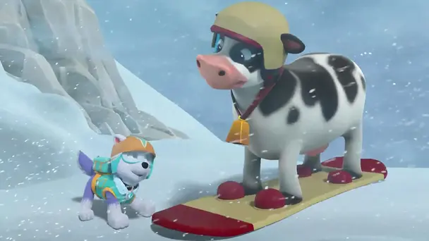 Pups save a snowbound cow