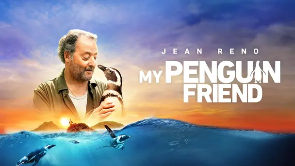 My Penguin Friend