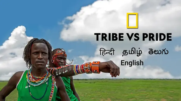 Tribe Vs Pride