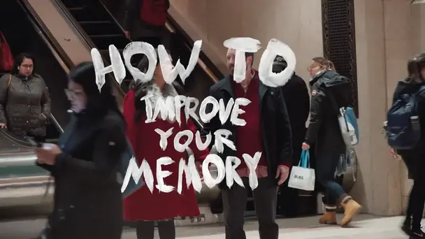 How To Improve Your Memory