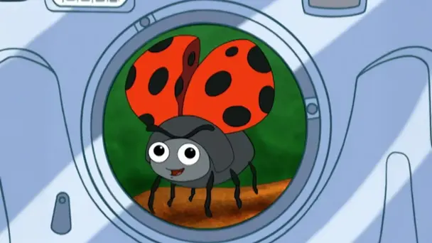 It's a Bug's World!