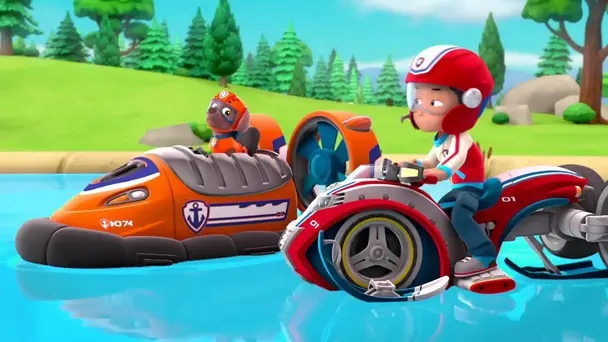 Pups save the dolphin pup