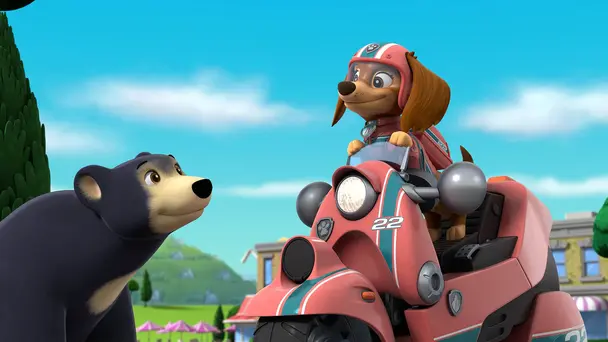 Liberty Makes a New Friend / Pups Save the Pup Pup Boogie Contest