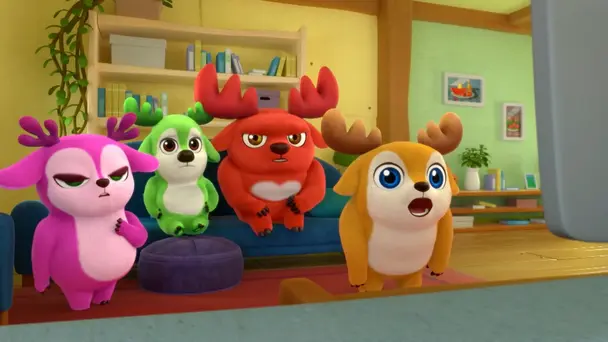 Save The Bees/ Duck Dilemma