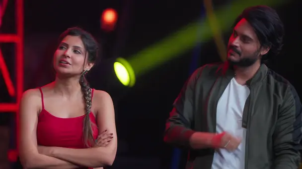 Love birds ka systum hang