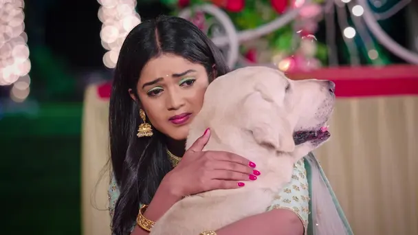 Shravani, Cheeku Reunite