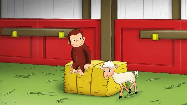 Snow Monkey / A Good Yarn