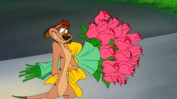 Boo Hoo Bouquet / Timon Alone