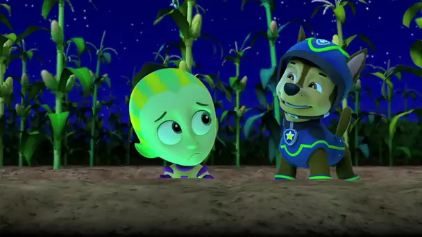 Pups save the space alien