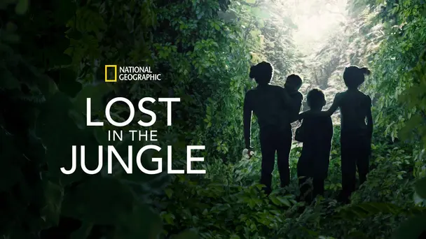 Lost in the Jungle