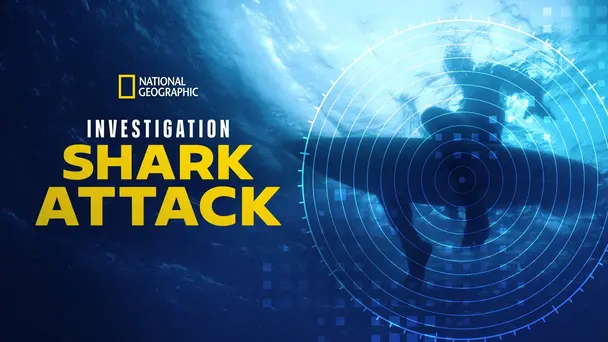Investigation Shark Attack