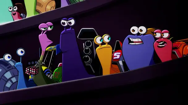 Dungball Derby/Ace Race