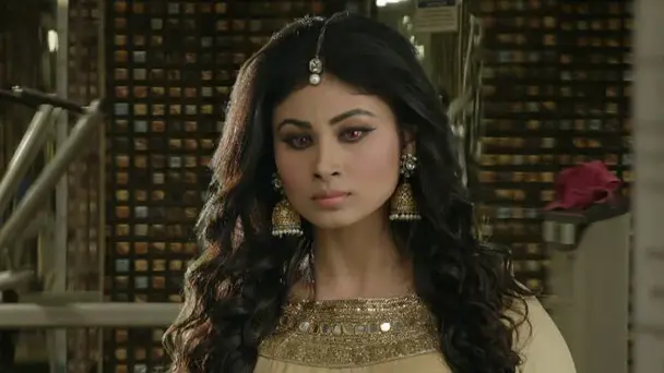 Naagin’s vengeance