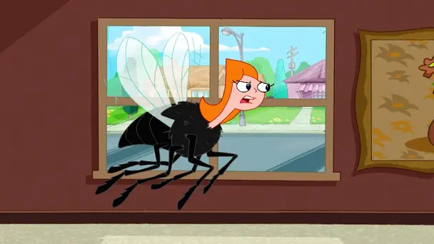 Fly on the Wall / My Sweet Ride