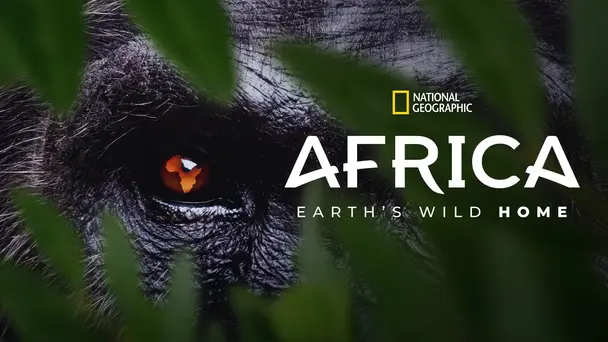 Africa Earth's Wild Home