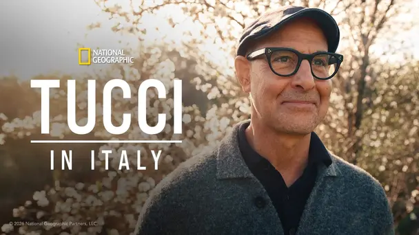 Tucci in Italy