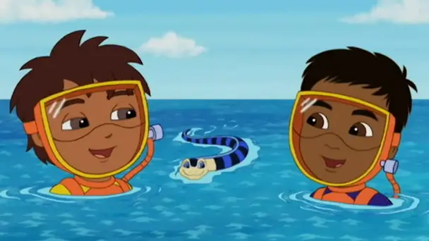 Diego's International Rescue League Part 2