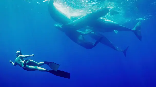 Descent Into Darkness