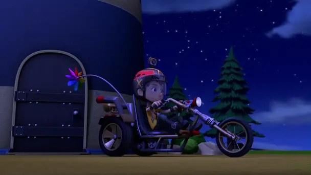 Pups save a freighter