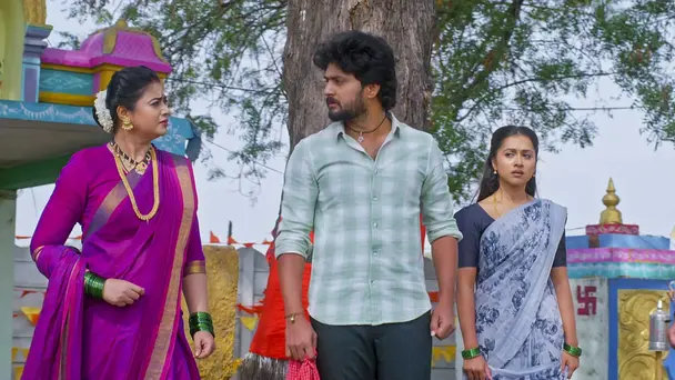 A Stunner for Chanti