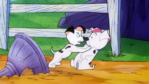 You Slipped a Disk / Chow About That?