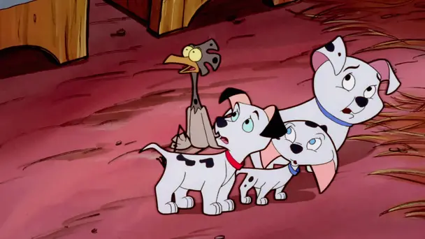 Shake, Rattle And Woof / Cadpig Behind Bars