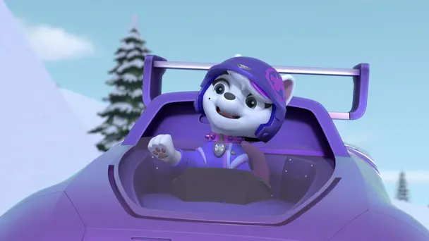 Rescue Wheels: Pups Save the Risky Race / Rescue Wheels: Pups Save the Runaway Truck