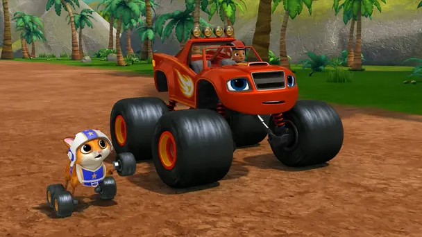 The Amazing Stunt Kitty