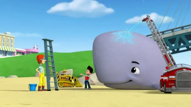 Pups and the very big baby