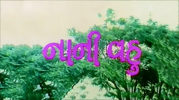 Nani Vahu