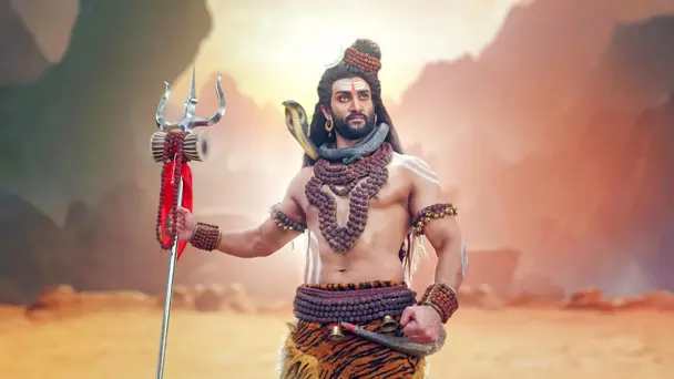 Shiba Stands for Righteousness