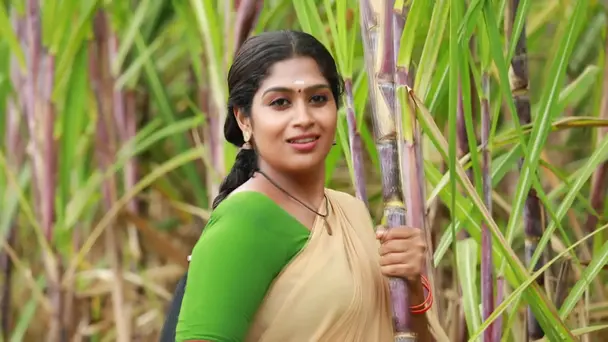 Muthazhagu Steals the Show