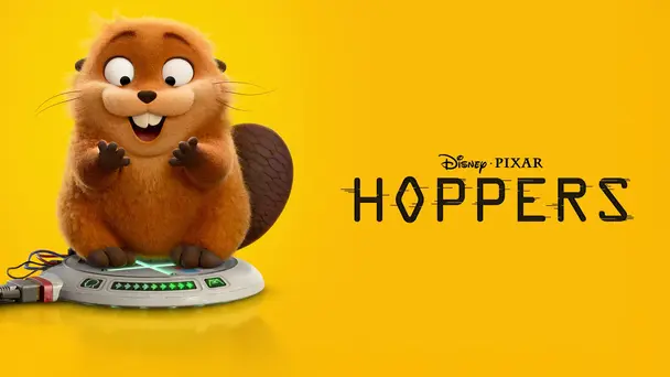 Hoppers
