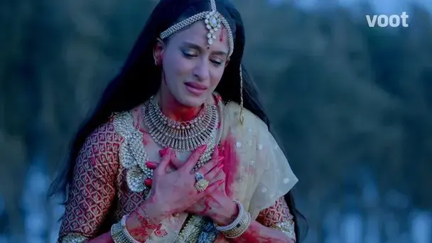 The magical saga begins!