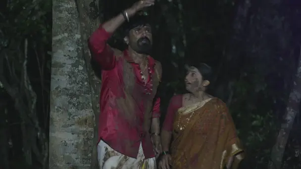 Bhadra Saves Vidya