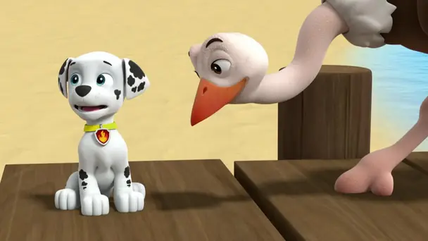 Pups save an ostrich