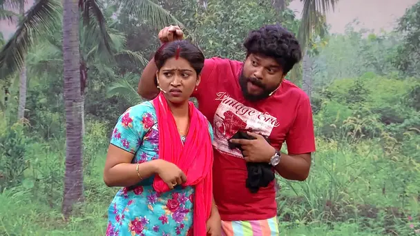 Team Four Stars Shines