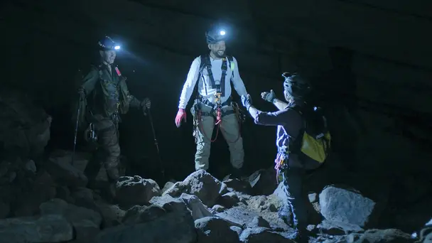 The Amazon: Deadly Creatures