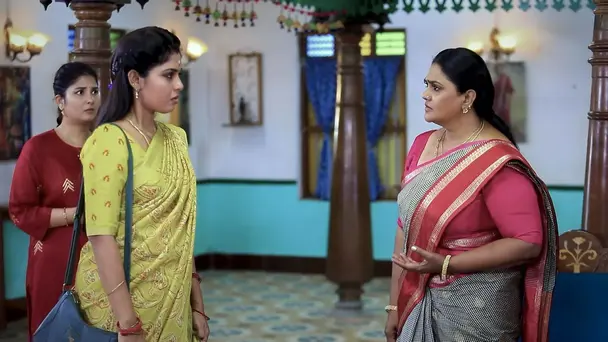 Meena Unveils the Secret