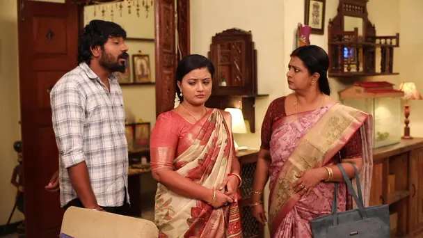 Vijaya Opposes Meena's Choice