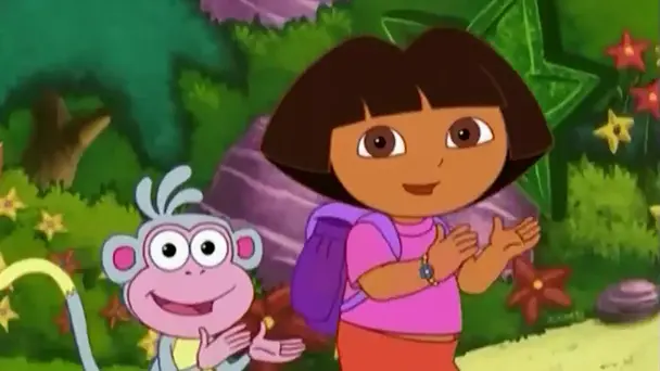 Dora's present