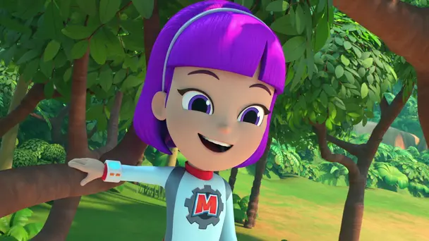 Iguana Dance With Somebody / Koala Crossing / Camel Is The Animal