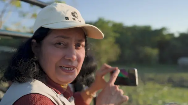 Echoes of Kaziranga: Hoolock Gibbons