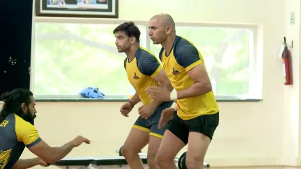 Ready to Bounce Back