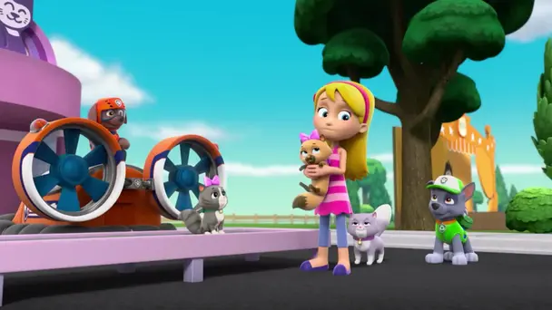 Pups save the cat show