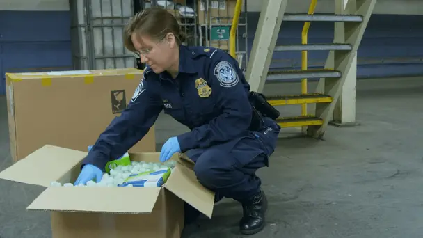 Internal Investigation