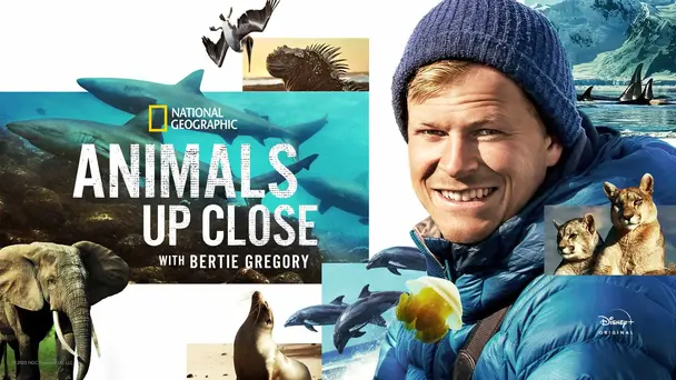 Animals Up Close with Bertie Gregory