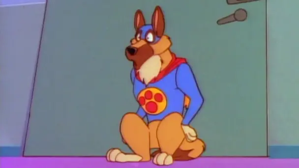 Flash The Wonder Dog
