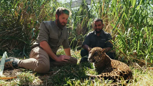 Heroes of Healthcare